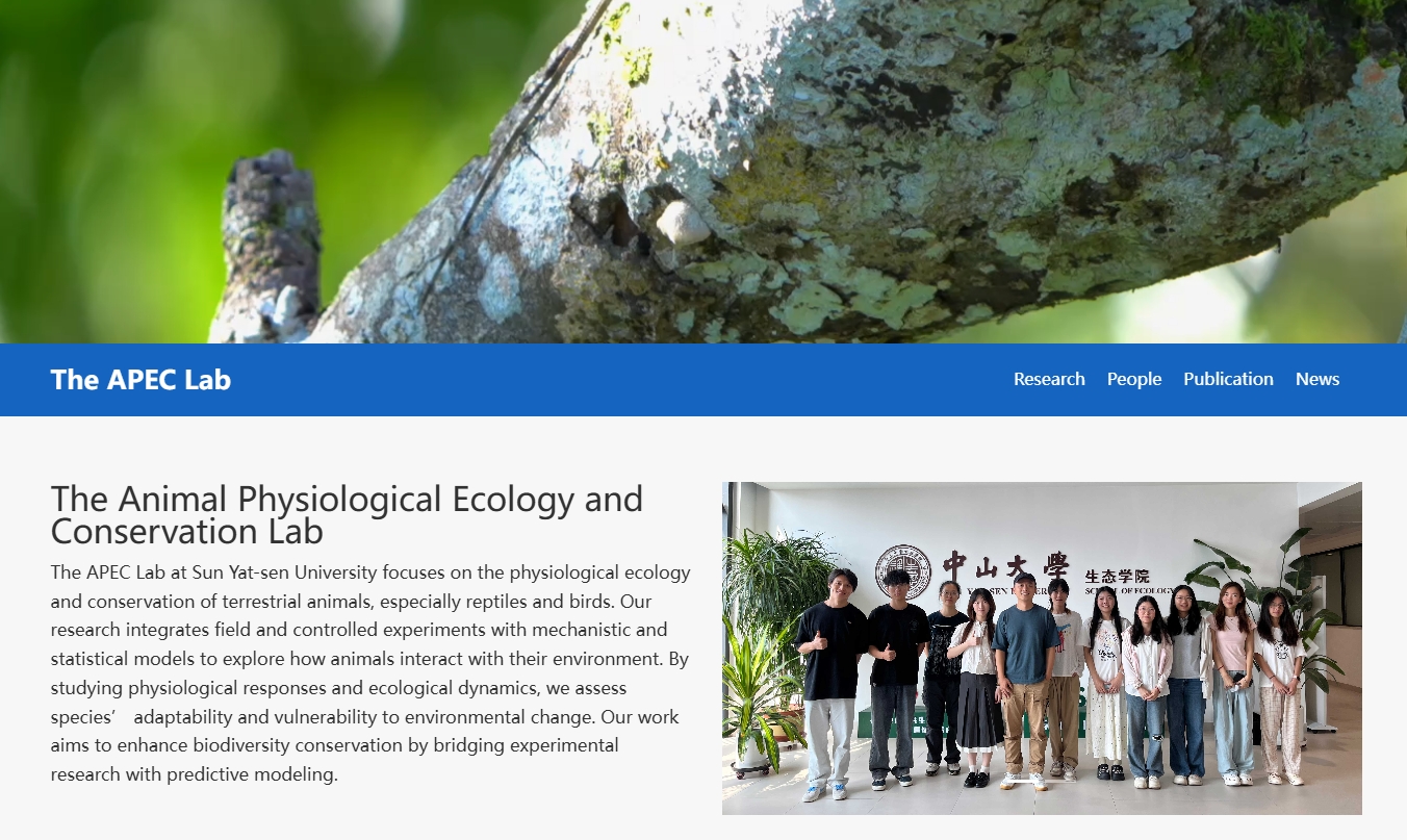 课题组网站建设